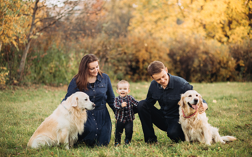 Rodzina z Golden Retrieverami Rodzina z Golden Retrieverami