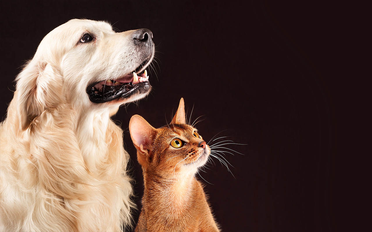 Profesjonalna pielęgnacja - kiedy warto skorzystać?