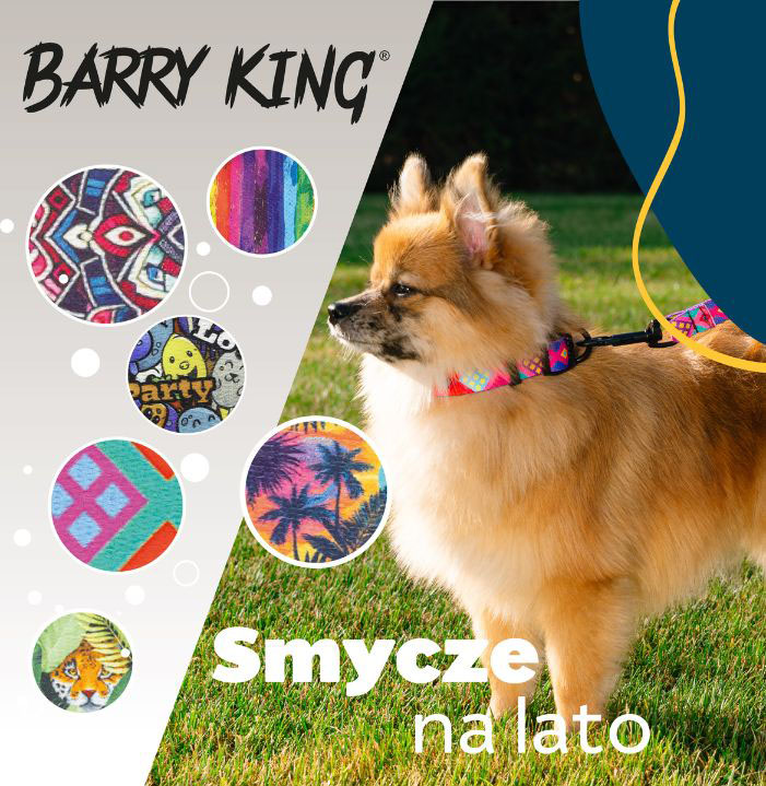 Smycze dla Psa na lato Barry King