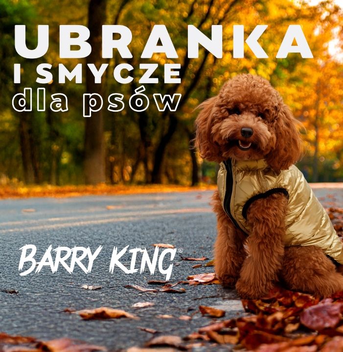 Barry King Ubranka i smycze