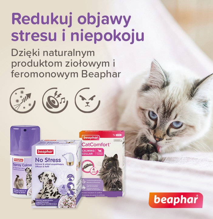 Redukuj stres u kota