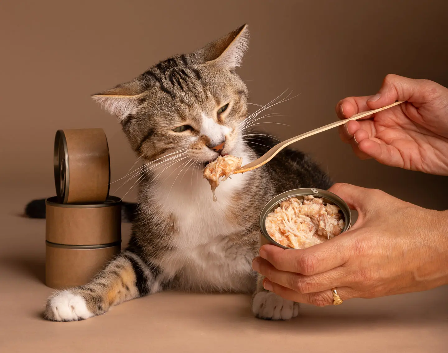 Okno Immunologiczne i Epigenetyka: Jak dieta w pierwszych 12 miesiącach "programuje" zdrowie kota na całe życie?