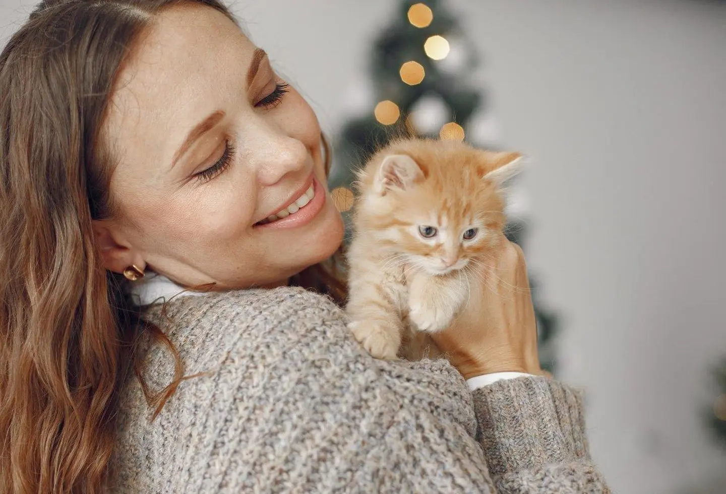 Operacja: Nowy Dom. Jak zmienić mieszkanie w bezpieczną twierdzę dla kociaka? (Naukowa checklista)