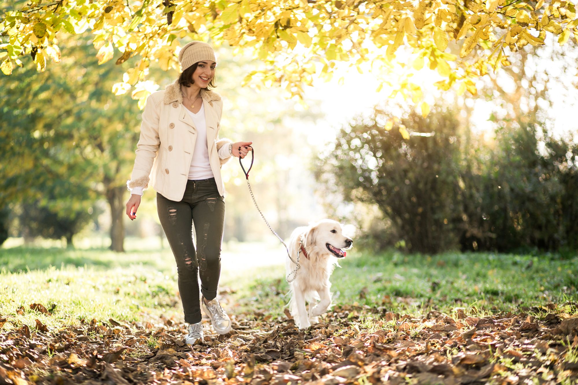  Najlepsze zabawki dla Golden Retrieverów – jak wybrać te, które naprawdę polubią?