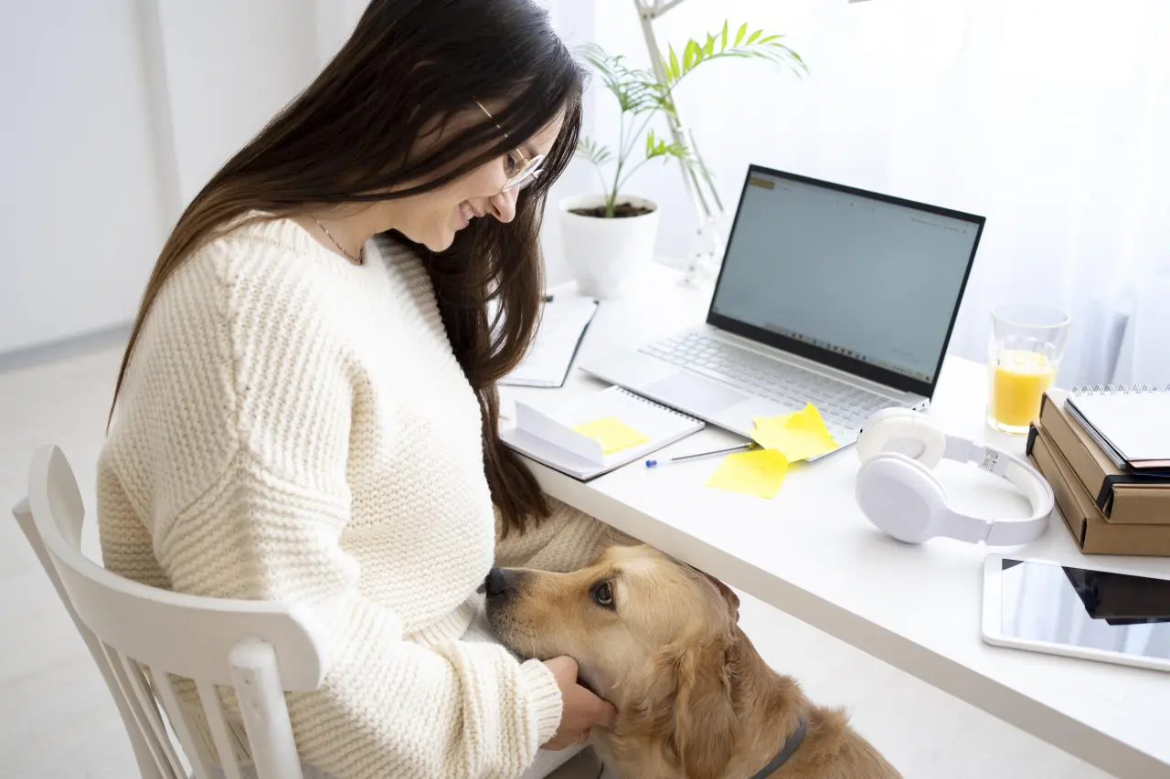 Pies w biurze i na Home Office – jak przygotować psa do wspólnej pracy?