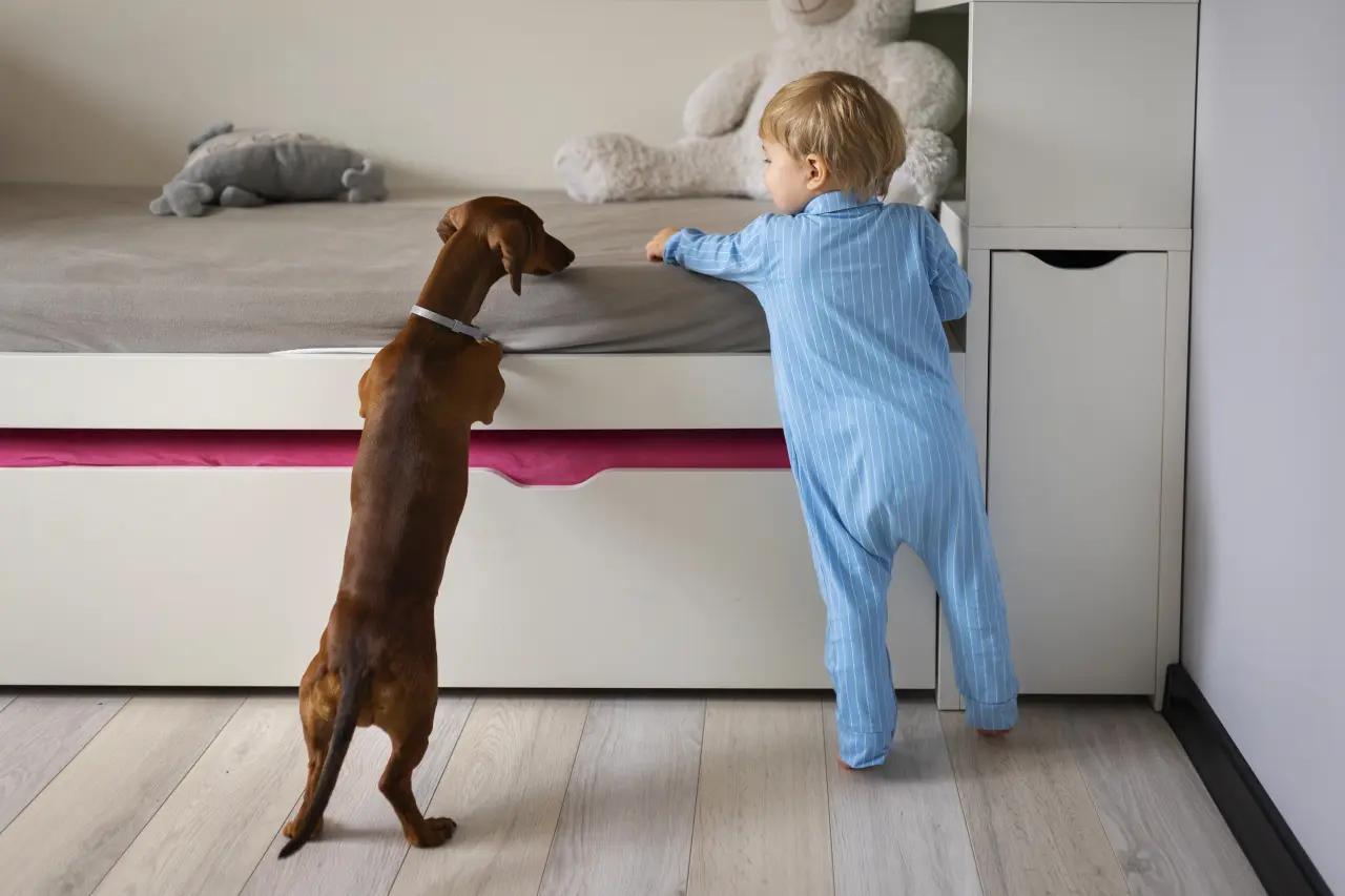 Dziecko i Pies pod Jednym Dachem: Kompletny Przewodnik po Bezpieczeństwie, Relacji i Wychowaniu