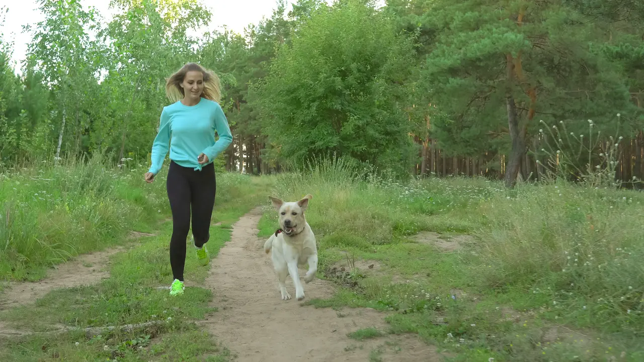 Najlepsze Rasy Psów do Biegania. Jak Wybrać Idealnego Partnera Treningowego?