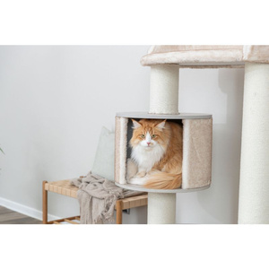 Trixie Kiara XXL Drapak dla Kota Kremowy 135cm