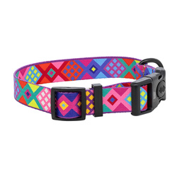 Barry King Obroża taśma dla psa Peru 20mm/35-54cm