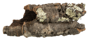 Trixie Tunel korkowy XS-S: 5–10 cm / 5–20 cm 10szt/op