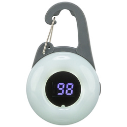 Trixie Flasher USB zawieszka świecąca dla psa grafitowa 4 × 6,5cm