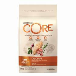 Wellness Core k.sucha d.kota indyk/kurcz. 4kg