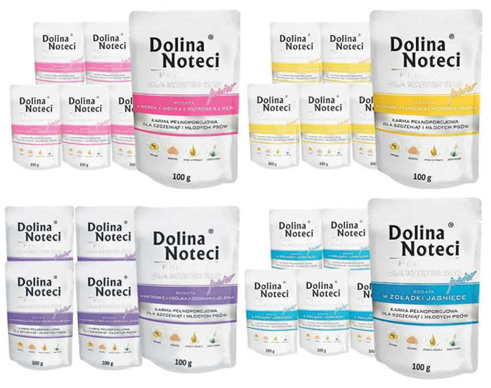 Dolina Noteci Premium Junior Mix Smaków 40x100 g