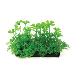 Aqua Natura Roślina do dekoracji akwarium zielona plastikowa 10cm koniczyna