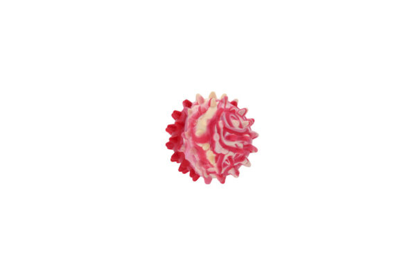 Sum-Plast Piłka 3,5 cm zapachowa z kolcami dla psa 0