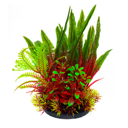 Aqua Natura Roślina do dekoracji akwarium bordowo-zielona plastikowa 18cm mix roślin