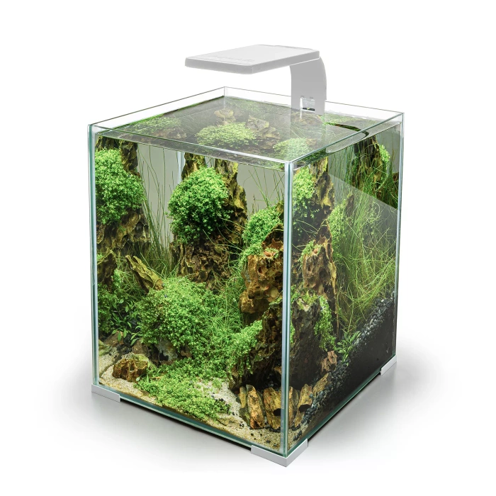 AQUAEL Oświetlenie Leddy Smart 4,8W Plant&Night biały 