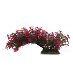 Aqua Natura roślina czerwona plastikowa 23 cm rozległa na podstawce