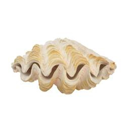 Aqua Natura Dekoracja akwariowa muszla perłowa duża 18cm