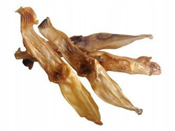 VECTOR-FOOD uszy królicze 5 sztuk