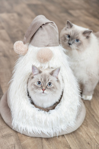 Trixie Xmas Gnom legowisko zamknięte beżowe 45x47cm