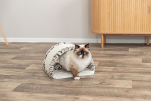 Trixie Leo mostek do drapania dla kota kremowy 25cm