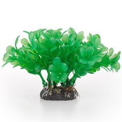 Aqua Natura Roślina do dekoracji akwarium zielona plastikowa 10cm wodna paprotka