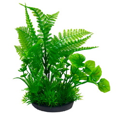 Aqua Natura Roślina do dekoracji akwarium zielona plastikowa 18cm peperomia ostra i paproć