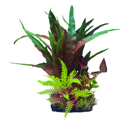 Aqua Natura Roślina do dekoracji akwarium bordowo-fioletowo-zielony plastikowa 28cm mix roślin