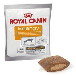 Royal Canin Energy przysmak dla psa 50g