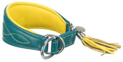 Obroża dla chartów Active Comfort XS-S: 24-31cm 50mm petrol