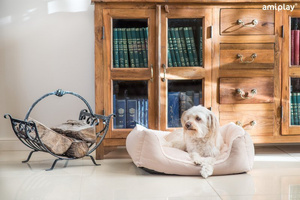 amiplay Sofa Aspen XS dla psa