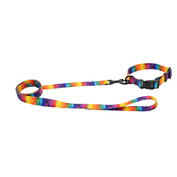 Barry King Obroża taśma dla psa Tęcza 16mm/30-47cm