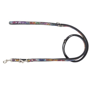 Barry King Smycz regulowana dla psa skórzana Kwiaty XS-S 12mm/200cm