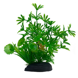 Aqua Natura roślina do dekoracji akwarium zielona plastikowa 20cm paprotka i młode pędy