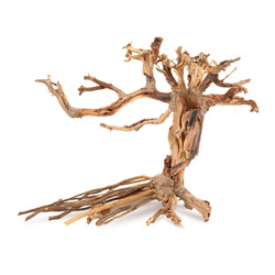 Terra Natura Tonące drzewo Bonsai nr 14 40x30 cm