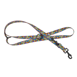 Barry King Smycz regulowana taśma dla psa Dream Party 16mm/220cm