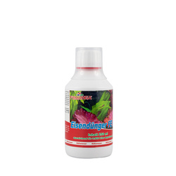 Femanga Eisen Fe ll Koncentrat żelaza w płynie 250ml