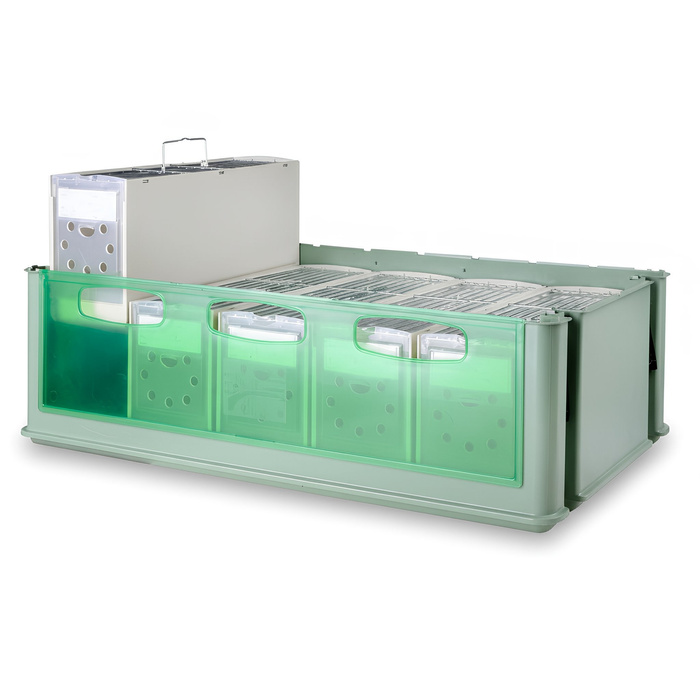 2GR Maxi Tino – Skrzynia transportowa z 5 klatkami Secondino Maxi (67x34cm)