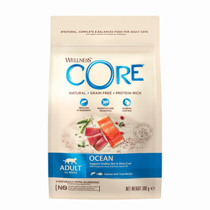 Wellness Core Ocean Salmon k.sucha d.kota łosoś/tuńcz. 300g