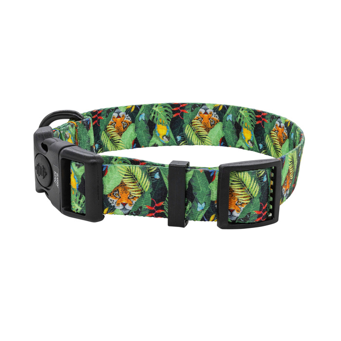 Barry King Obroża taśma dla psa Tropical 25mm/50-70cm