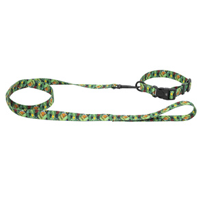 Barry King Smycz dla psa taśma Tropical 20mm/120cm