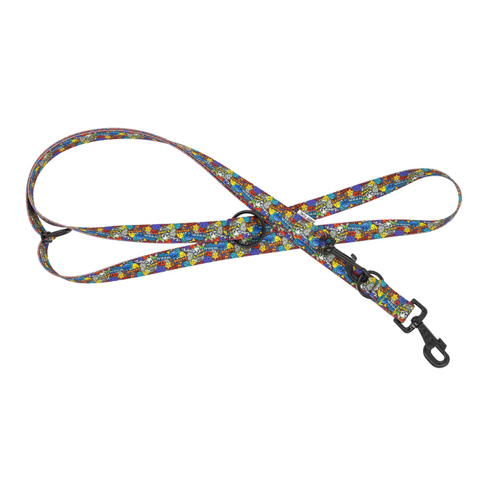 Barry King Smycz regulowana taśma dla psa Dream Party 16mm/220cm