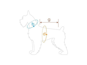 amiplay Kurtka Puchowa Bronx 41 cm Beagle moro