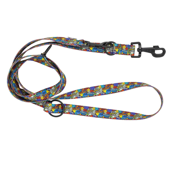 Barry King Smycz regulowana taśma dla psa Dream Party 20mm/220cm