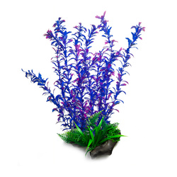 Aqua Natura Roślina do dekoracji akwarium niebieska plastikowa 38cm chlorella