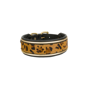 Barry King Obroża skórzana 37-44 cm/34 mm pantera