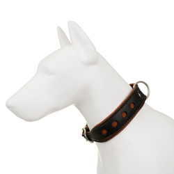 Barry King Obroża Skóra Łoś Strong Koła 40mm/55cm koniak