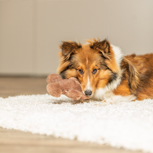 Trixie Xmas Ludzik z Piernika Pluszowa zabawka dla psa 16 cm