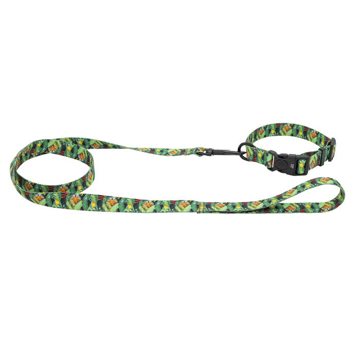 Barry King Smycz dla psa taśma Tropical 20mm/120cm